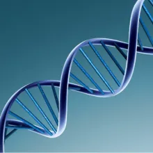 DNA repair - a double-edged sword